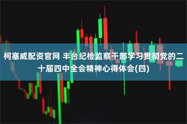 柯塞威配资官网 丰台纪检监察干部学习贯彻党的二十届四中全会精神心得体会(四)