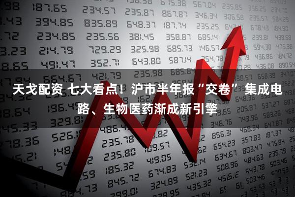 天戈配资 七大看点！沪市半年报“交卷” 集成电路、生物医药渐成新引擎